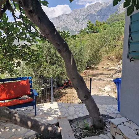 Josh Makarska